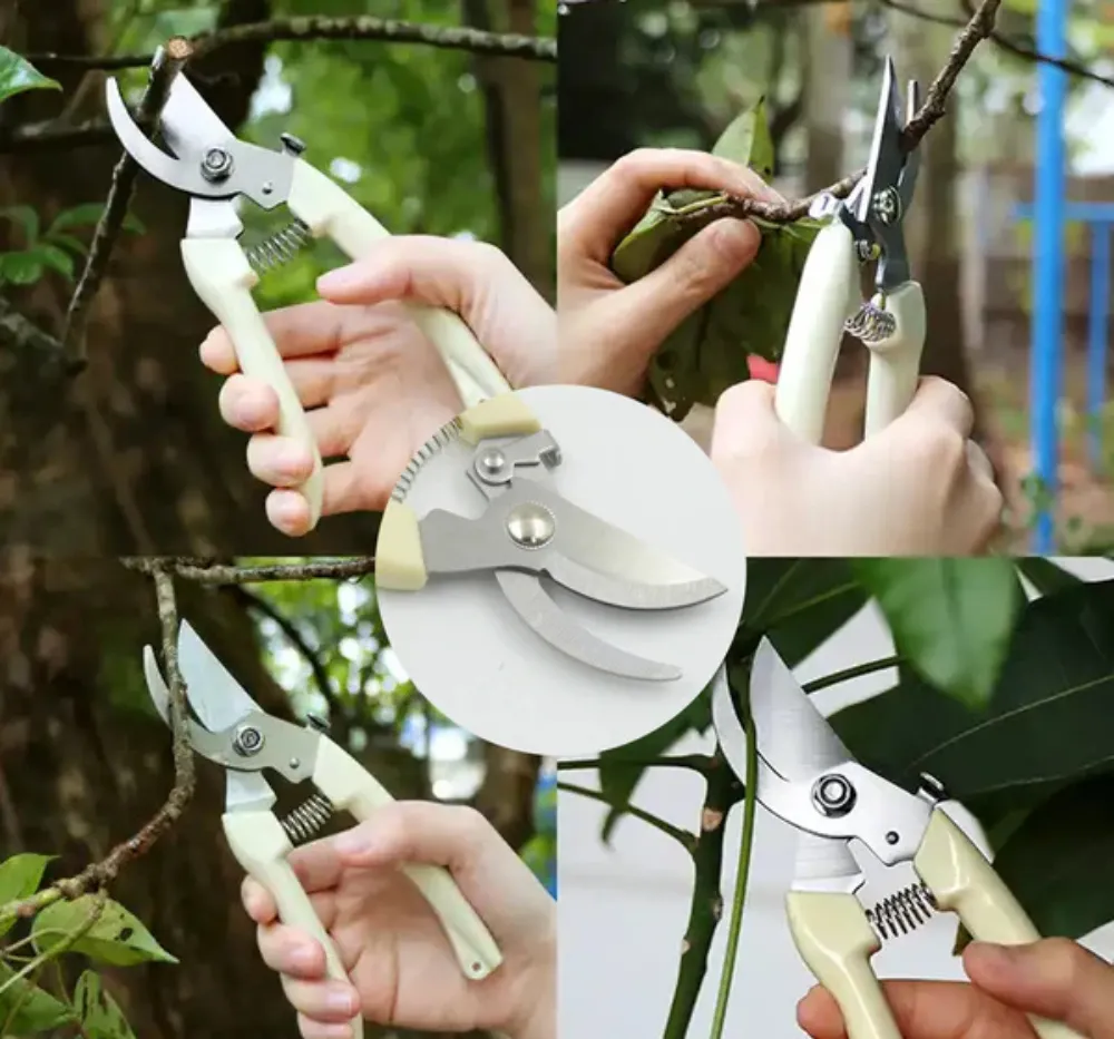 Garden pruning shear with stainless steel blades and a strong ergonomic handle displayed on garden soil.