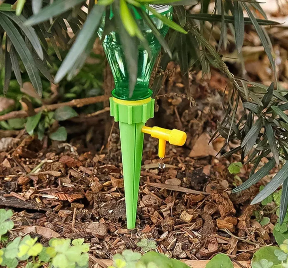 Automatic watering spikes inserted in indoor plant pot showing slow water drip system for home gardening.