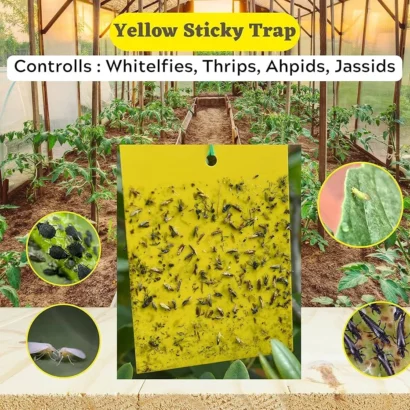 Yellow sticky trap for insects placed in garden to catch whiteflies, aphids, thrips and flying pests