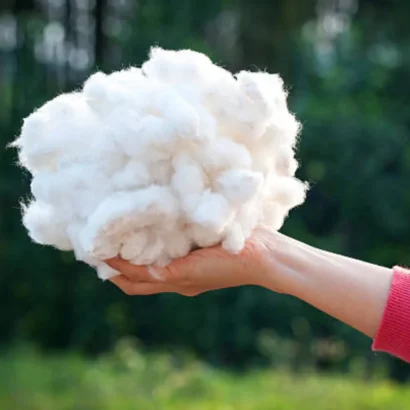 Raw cotton for puja with seeds in natural unprocessed form used for making diya wicks and festival rituals.
