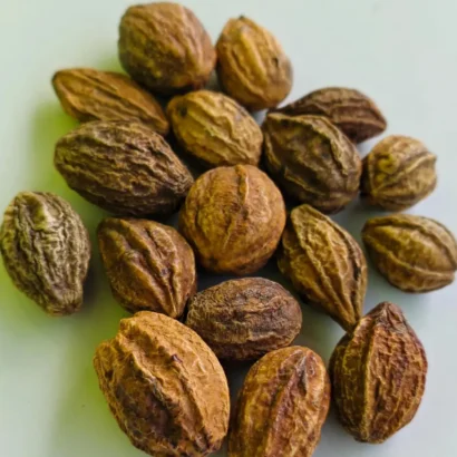 Whole Karakkaya (Harad Badi) fruits naturally dried and unprocessed used for ayurvedic and puja purposes.